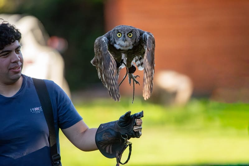 Saint Patrick’s Beerfest 2026.