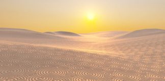 Valmet consolida su presencia en el mercado latinoamericano de papel tissue tras adquisición y cambio en el consumo