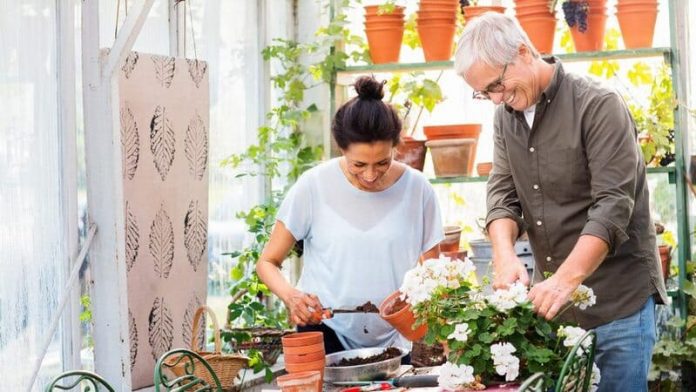 Evolución de incontinencia en Chile (1) incontinencia
