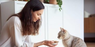 Suplementos para mascotas ganan terreno en Chile: crece el interés por el cuidado preventivo de perros y gatos