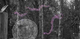 Latin America Regional Awards