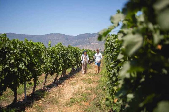 2 (1) (1) enoturismo