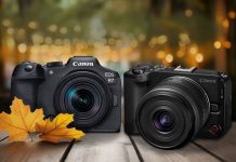Otoño en foco: cómo capturar la magia de la temporada con fotografías llenas de color y luz fotografías