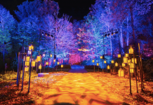 entradas Harry Potter