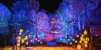 entradas Harry Potter