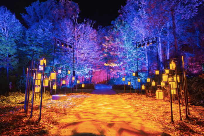 entradas Harry Potter