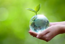 Impresión ecológica avanza en la industria gráfica impulsada por costos y regulación