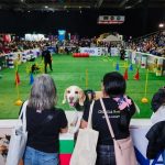 Faltan pocos días ¡No te pierdas la nueva versión de Expo Mascotas & Animales! Expo Mascotas & Animales