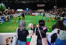 Faltan pocos días ¡No te pierdas la nueva versión de Expo Mascotas & Animales! Expo Mascotas & Animales