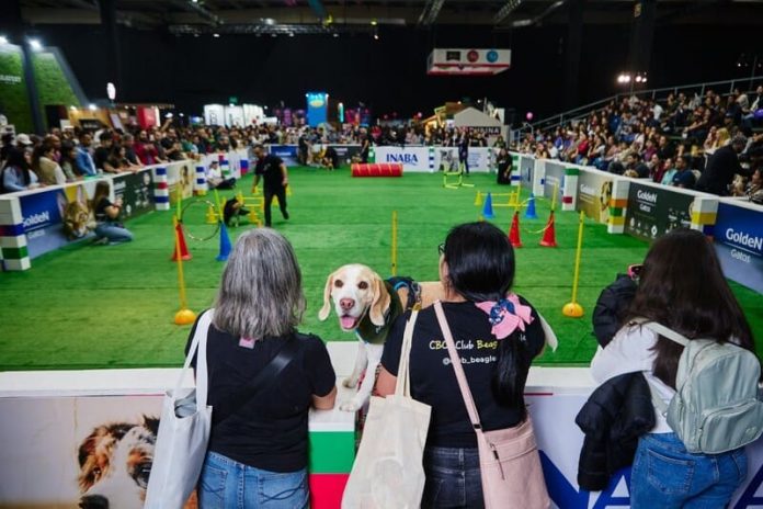 Expo Mascotas & Animales
