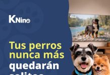 KNino debuta en Expo Mascotas 2026 como el primer canal de televisión chileno dedicado a perros y gatos Mascotas, KNino