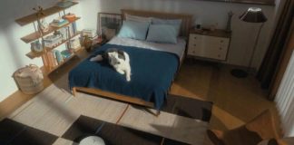 Tineco & Ecovacs