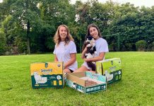 Innovación chilena para mascotas: Tres emprendimientos chilenos que están revolucionando el bienestar animal en el mundo emprendimientos