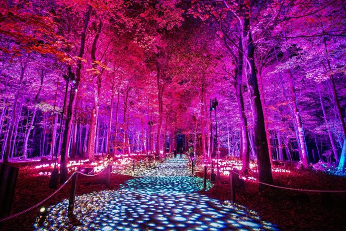 Bosque