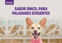 Nueva fórmula chilena para perros incorpora uno de los antioxidantes más potentes del mundo POEMA