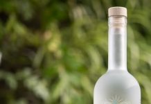 Gin