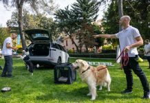Soft living al volante: OMODA | JAECOO apuesta por el bienestar a bordo en el mercado chileno OMODA | JAECOO