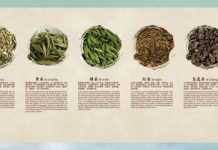 “Harmonía de té”: el encuentro que invita a descubrir los aromas y sabores del té chino
