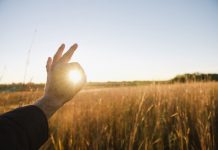 Mondelēz International se suma a iniciativa para acelerar la agricultura regenerativa Mondelēz
