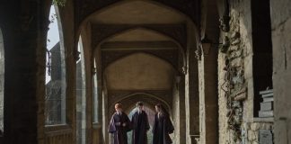 Harry Potter, HBO