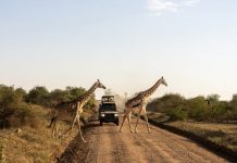 Cuando un documental de África se convierte en tu próximo viaje África