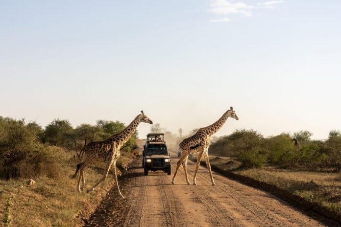 shutterstock_2686910121 (1) África