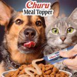 Variedad de alimentos para perros y gatos ¿Cómo elegir el correcto? perros y gatos