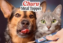 perros y gatos
