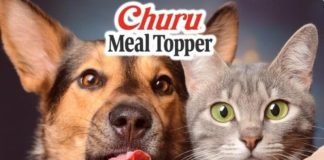 perros y gatos
