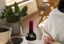 Vinos y cocina chilena: una guía para disfrutar los sabores del invierno vinos