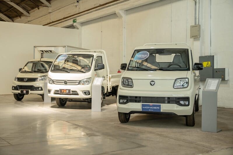 Foton Cidef