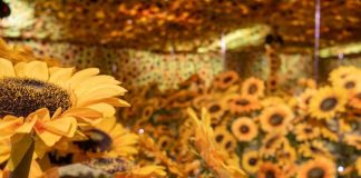 Van Gogh