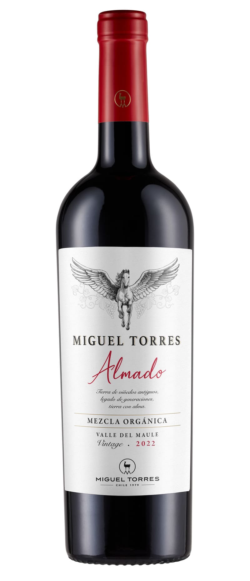 Miguel Torres Almado