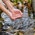 Samsung Electronics publica su Informe de Sostenibilidad 2026 y expande sus esfuerzos de reposición de agua Samsung