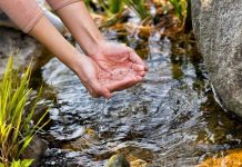 Samsung Electronics publica su Informe de Sostenibilidad 2026 y expande sus esfuerzos de reposición de agua Samsung