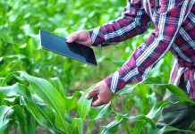 Aplicación móvil permite identificar soluciones agrícolas según cultivo, plaga o maleza aplicación