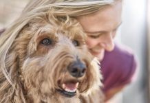En el Día Mundial del Perro: Claves para su cuidado y tenencia responsable Día del Perro