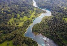 La cuenta llegó: el planeta entra en Sobregiro Ecológico mientras crecen los eventos climáticos extremos WWF Chile