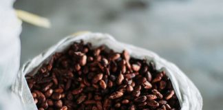 Fensa, Día del Cacao