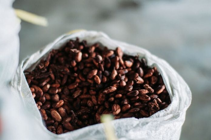 cacao Fensa, Día del Cacao