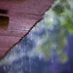Eventos meteorológicos extremos: WWF Chile llama a fortalecer la adaptación y resiliencia, y seguir avanzando en acción climática WWF Chile