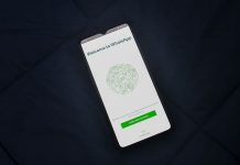 La búsqueda de empleo y servicios ahora es posible desde Whatsapp Whatsapp