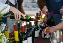 Viña Santa Rita adelanta celebración del día del vino chileno con tours gratuitos y degustaciones Viña
