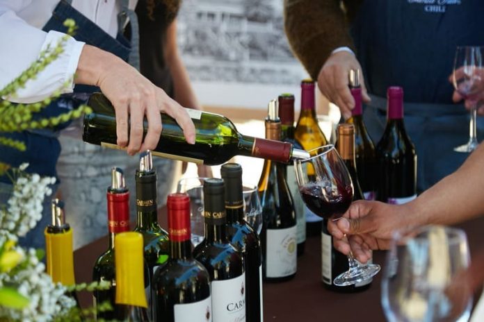Día del Vino VSR (2) Viña