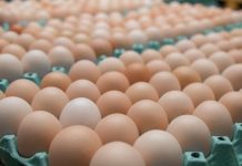 Chilehuevos