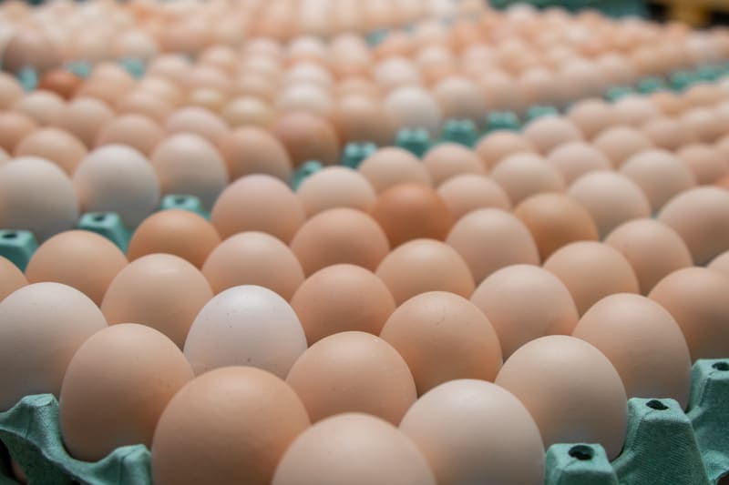 Chilehuevos