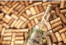 De Monte Patria a la cima global: los 5 secretos de Pisquera Tulahuén, la carta chilena para ser el mejor pisco del mundo Pisquera