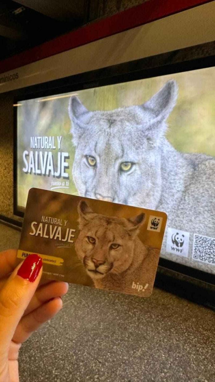 WWF Chile