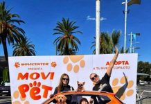 MoviPet
