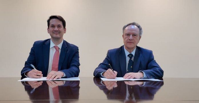 Firma Microsoft ABIF Roepke - Mena (1) ABIF